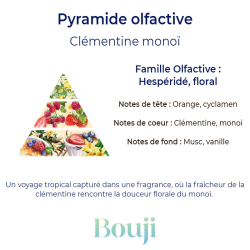 Bouji - Bougies & fondants faits main en Lorraine - Parfum Clementine monoi