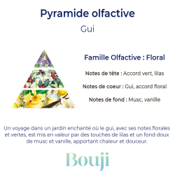 Bouji - Bougies & fondants naturels & parfumés - Bougie  Gui